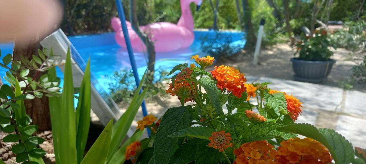 Luxury Loving Home Tolo Ngoại thất bức ảnh